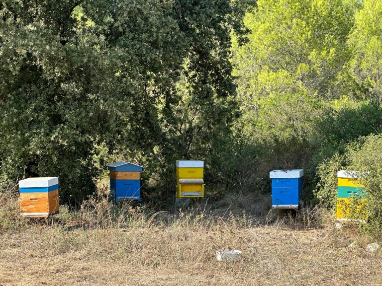 WhatsApp Image 2024-08-31 à 17.04.17_1e97ad9a