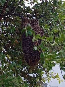 WhatsApp Image 2025-05-22 à 13.33.18_f7afa54b