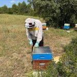 WhatsApp Image 2025-06-22 à 12.38.25_cf9beae3