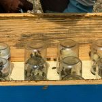 WhatsApp Image 2025-06-22 à 12.38.26_59bea4a8