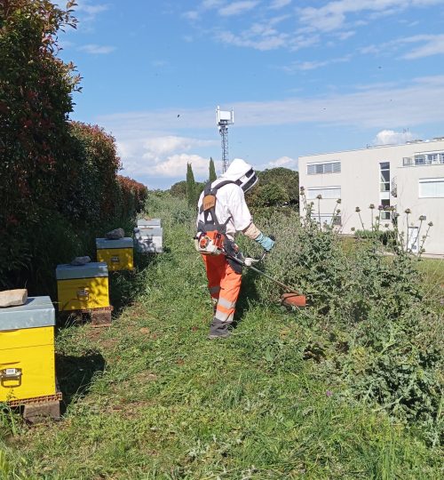 Entretien de printemps